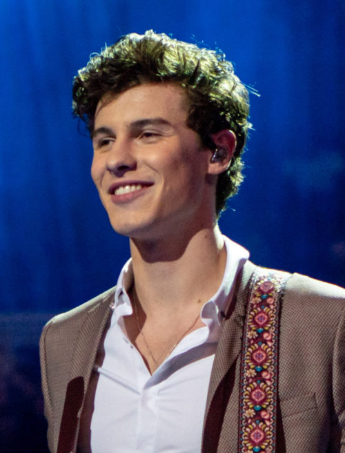 Desde então, Shawn Mendes fez apenas uma apresentação no Theatre Royal Drury Lane, em Londres, em 13/8/2024. O retorno no palco para um grande público está marcado para 22/9/2024, no Rock in Rio, com ingressos já esgotados. Em outubro, ele irá lançar o álbum 