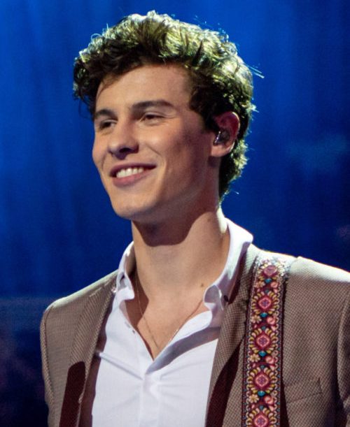 Desde então, Shawn Mendes fez apenas uma apresentação no Theatre Royal Drury Lane, em Londres, em 13/8/2024. O retorno no palco para um grande público está marcado para 22/9/2024, no Rock in Rio, com ingressos já esgotados. Em outubro, ele irá lançar o álbum "Shawn", o quinto de sua carreira. 