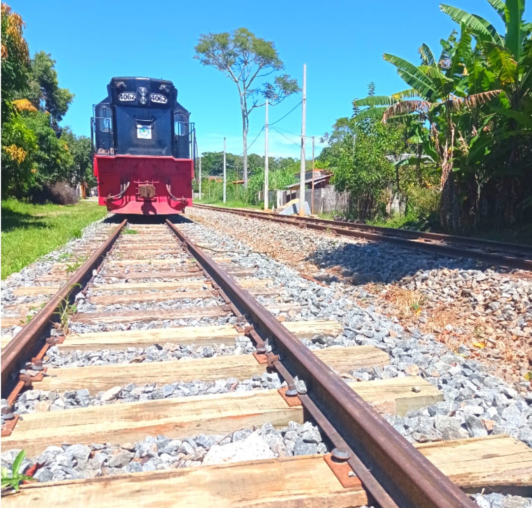 Aventura nos trens turísticos do Brasil: Conheça as rotas pelo país - Divulgação Amigos do Trem 