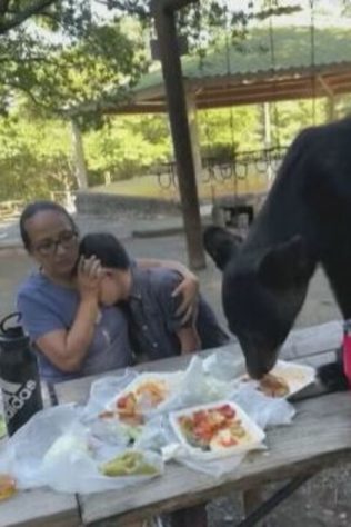 Urso