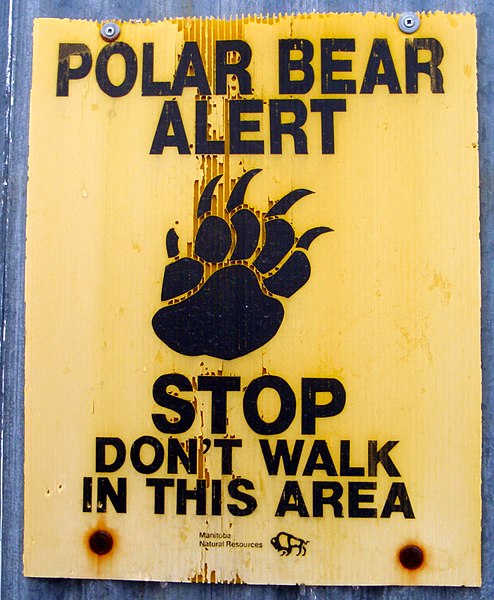 Placas alertando sobre a possibilidade de se deparar com um urso estão espalhados pelos espaços públicos, assim como locais onde agentes podem reter ursos para envio a cativeiros.
