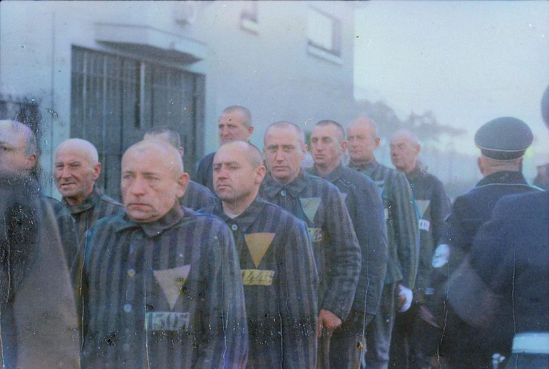 Nesses campos de concentração, milhões de prisioneiros foram executados em câmaras de gás.