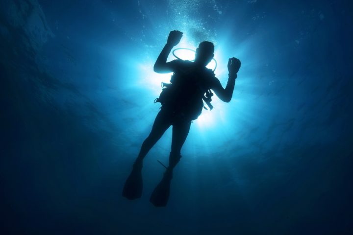 As autoridades locais e empresas de turismo costumam reforçar recomendações de segurança antes das saídas para o mar. Entre os cuidados mais citados estão respeitar os limites de profundidade, utilizar equipamentos revisados e nunca mergulhar sem acompanhamento profissional credenciado.