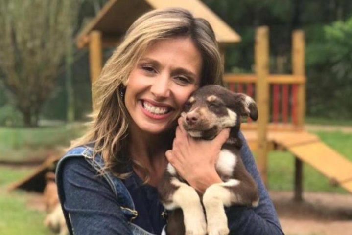 A ativista e apresentadora Luisa Mell quebrou duas costelas enquanto ajudava no resgate de animais no Rio Grande do Sul. -  (crédito: Reprodução Instagram)
