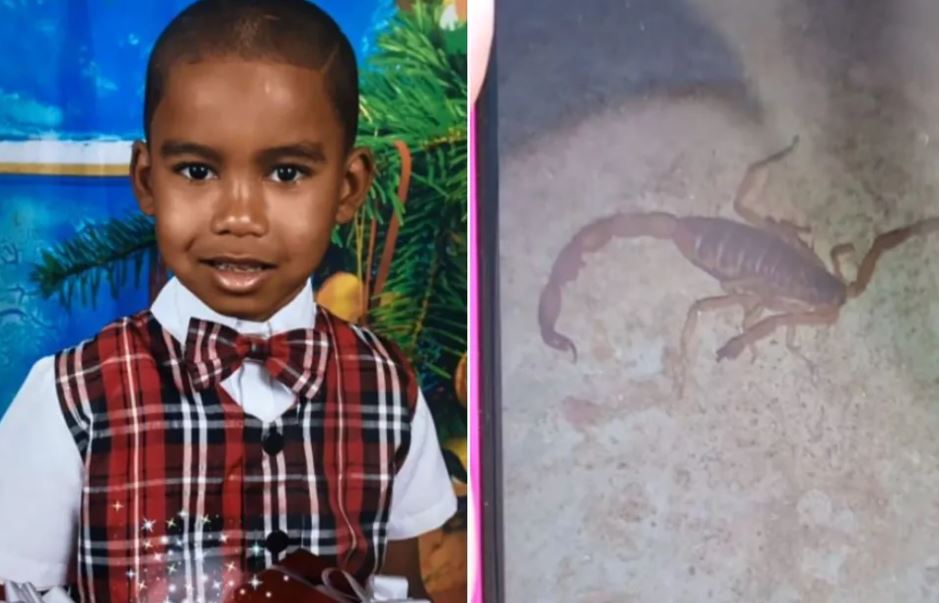 Em agosto de 2023 um menino de 6 anos, KauÃ£, morreu apÃ³s ter sido picado em RibeirÃ£o Preto (SP). Neste ano de 2024, cinco crianÃ§as morreram picadas por escorpiÃµes no estado de SÃ£o Paulo