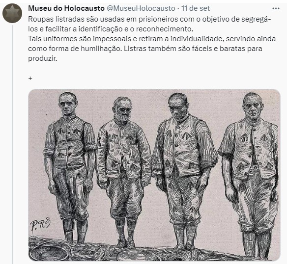 O perfil 
