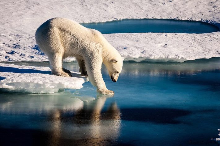 FOTO: Nasa/Wikimedia Commons
