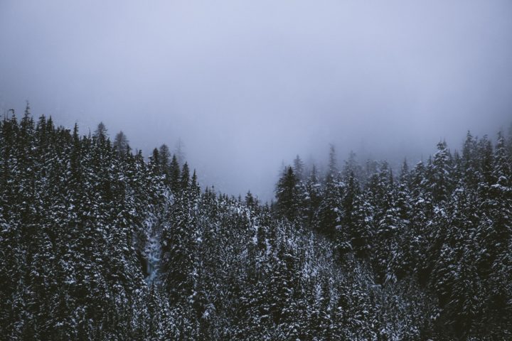 Eles desapareceram em um suposto acidente de avião enquanto viajavam de Anchorage para Juneau. Apesar de quase 40 dias de busca, nenhum destroço ou corpos foram encontrados.- Sonny Mauricio Unsplash