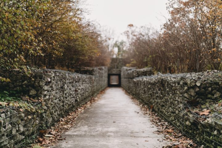 Em uma entrevista ao canal "History Channel", o pesquisador Ken Gerhard afirmou que o Triângulo do Alasca poderia ser um lugar com uma "força magnética mais forte" em forma de losango.-Steven Van Elk Unsplash
