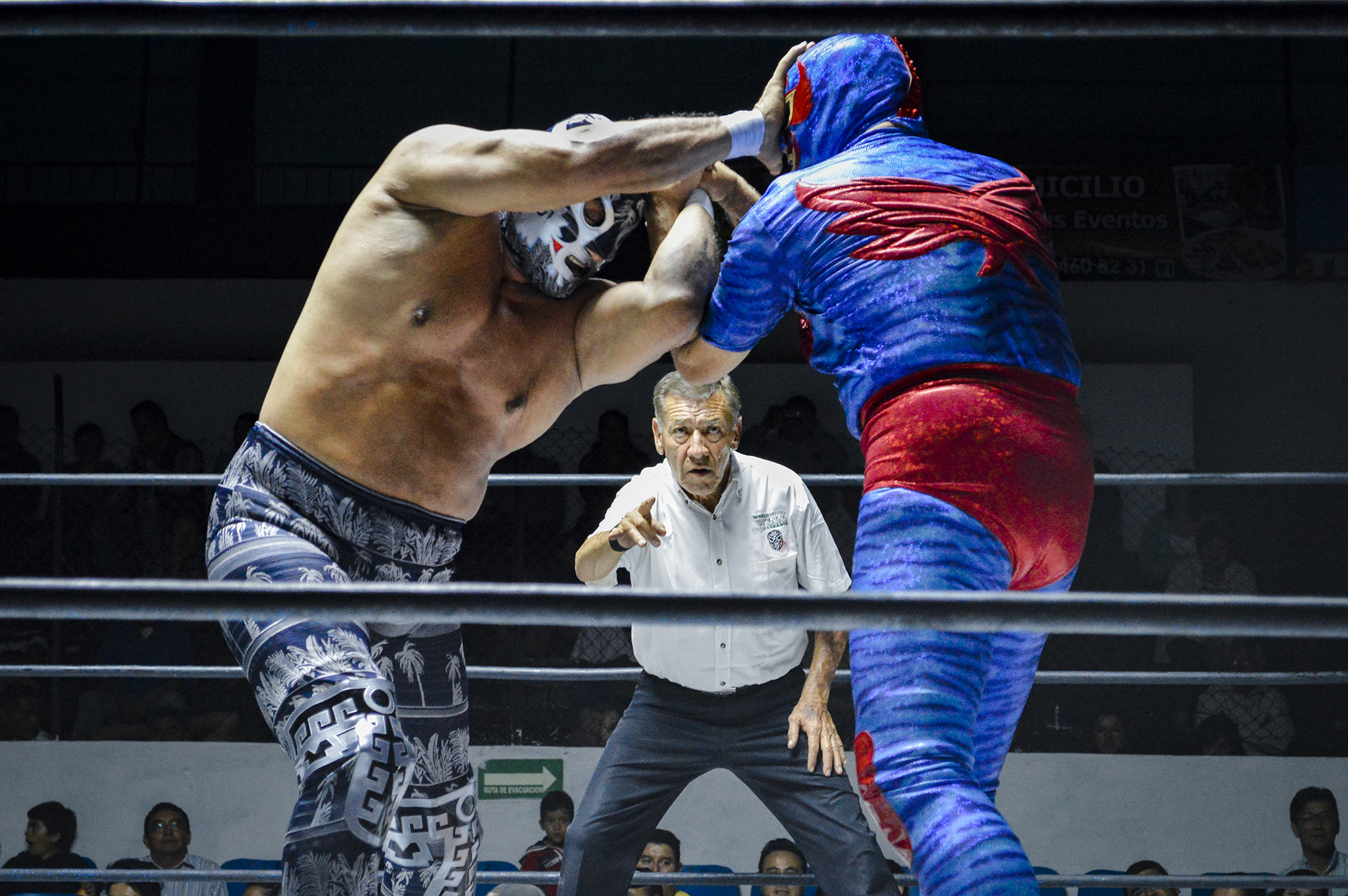 10 ideias de A lucha libre