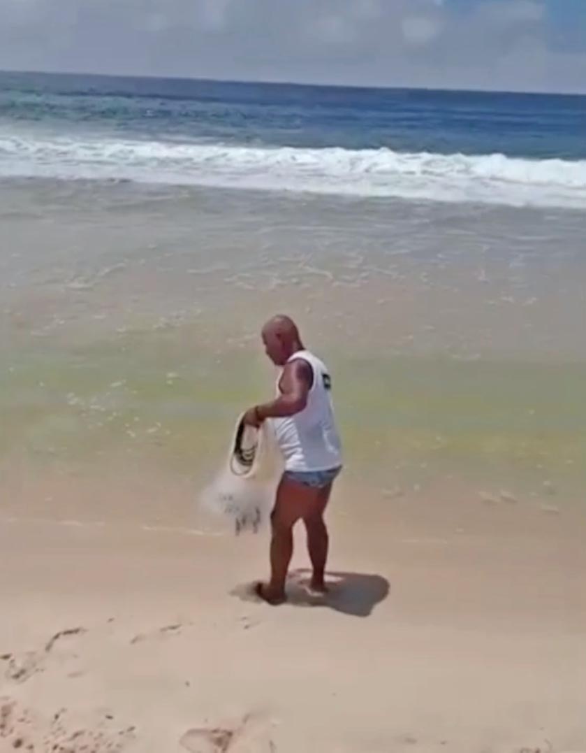 Segundo os especialistas, os ancestrais da tilápia vieram do mar. Por isso, a espécie tem capacidade de tolerar algum grau de salinidade.