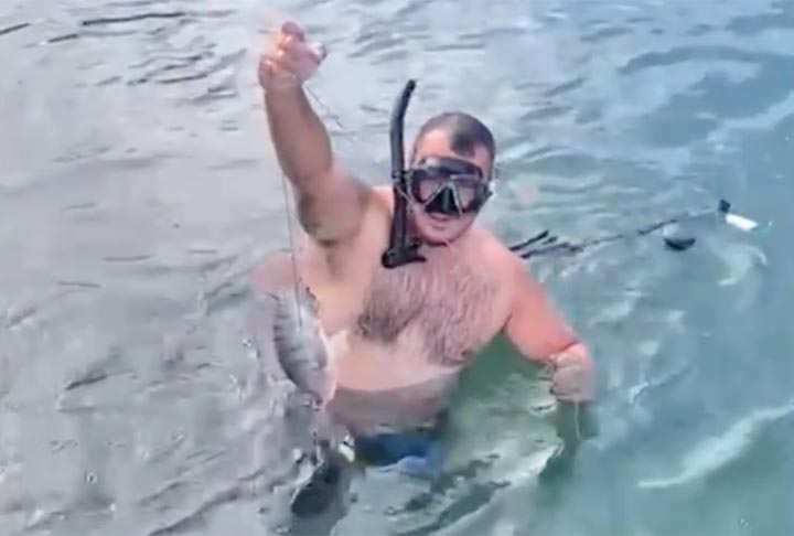 Mas como a tilápia consegue sobreviver em águas salgadas? A explicação está na evolução da espécie, de acordo com o Laboratório de Ecologia e Conservação da Universidade Federal do Paraná.