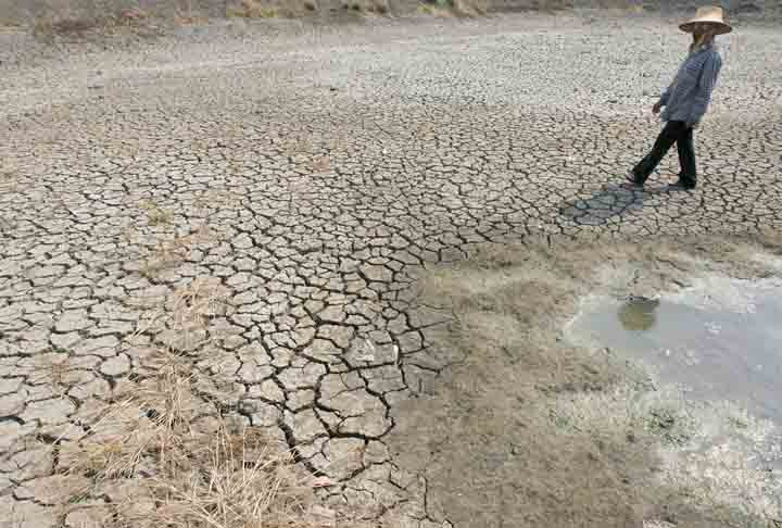 Antes da segunda metade do século 20, os cientistas ainda detinham um conhecimento limitado sobre os mecanismos e os impactos globais desse fenômeno. O grande avanço ocorreu após o forte El Niño de 1982 a 1983, que causou prejuízos bilionários e pegou governos de surpresa.