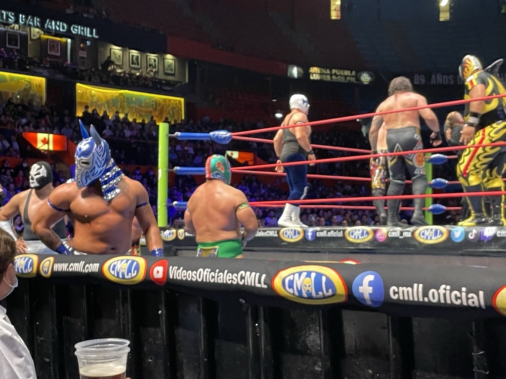 Máscara Luta Livre Mexicana - El Santo - Lucha Libre