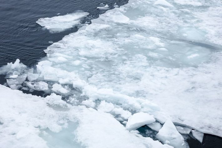 Aquecimento global  pode despertar vírus 'zumbis'