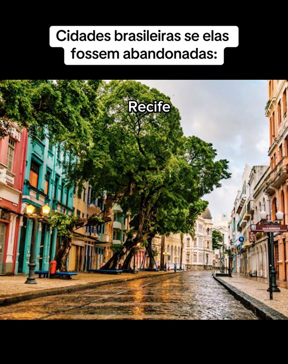 A Trend também utilizou o centro de Recife para exemplificar uma das capitais mais importantes do Brasil. O Centro Histórico da capital pernambucana traz várias atrações, com uma arquitetura colonial, que são patrimônios culturais e históricos do país.-Reprodução/TikTok/@huiop