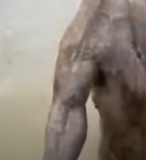 “Basicamente, dei um tapa na cabeça dele, ele pulou em mim e acabamos brigando na água. Ele parecia prestes a chutar minhas pernas, então eu joguei um pouco de água em seu rosto e tentei fugir, mas ele tentou me agredir novamente quando eu estava saindo", relatou Mick.