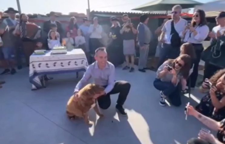 Cão mais velho do mundo 