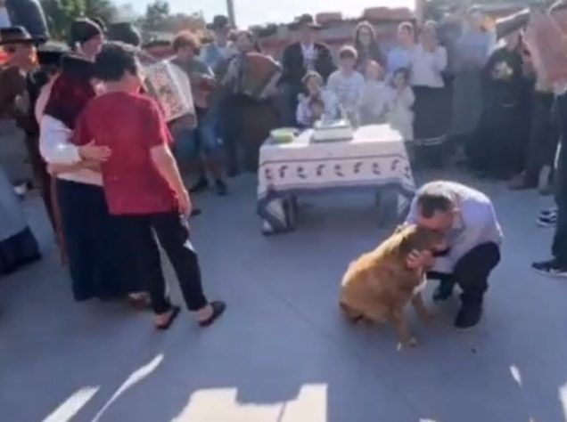 Cão mais velho do mundo 