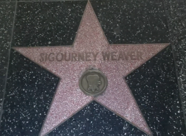 A atriz foi homenageada com uma estrela na Calçada da Fama de Hollywood em 1996.