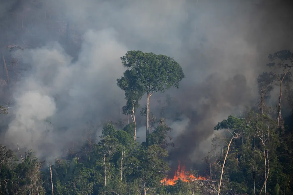 Defensoria pede intervenção federal no Amazonas por queimadas