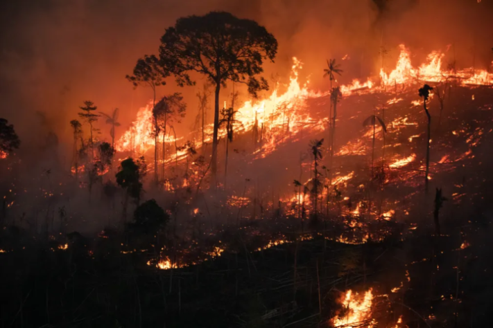 Queimadas- Amazônia