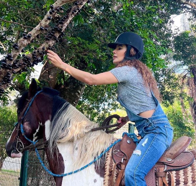 Dias antes, ele havia voltado a publicar um post, mas sobre um cavalo, cavalgando com aparente tranquilidade, colhendo frutos numa árvore. - Reprodução Instagram