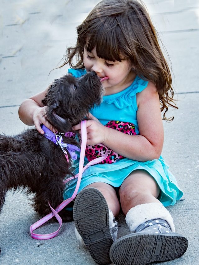 Raças de cães que não são recomendadas para crianças
