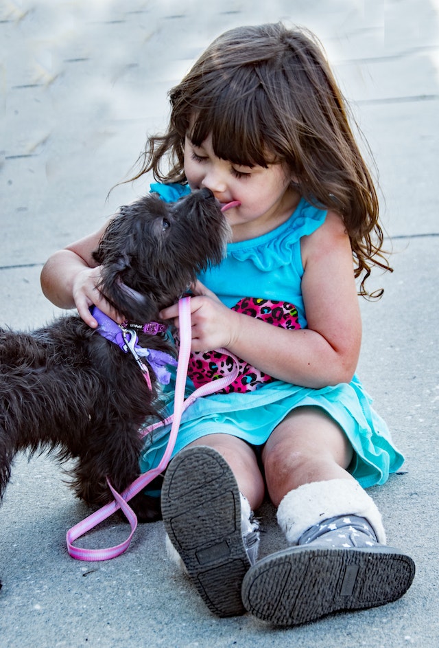 Pretende dar um cãozinho de estimação para fazer companhia ao seu filho? Saiba que os cães são animais geralmente amáveis, fofos e serão os melhores amigos da criançada. -  (crédito: Pexels/bin Ziegler)