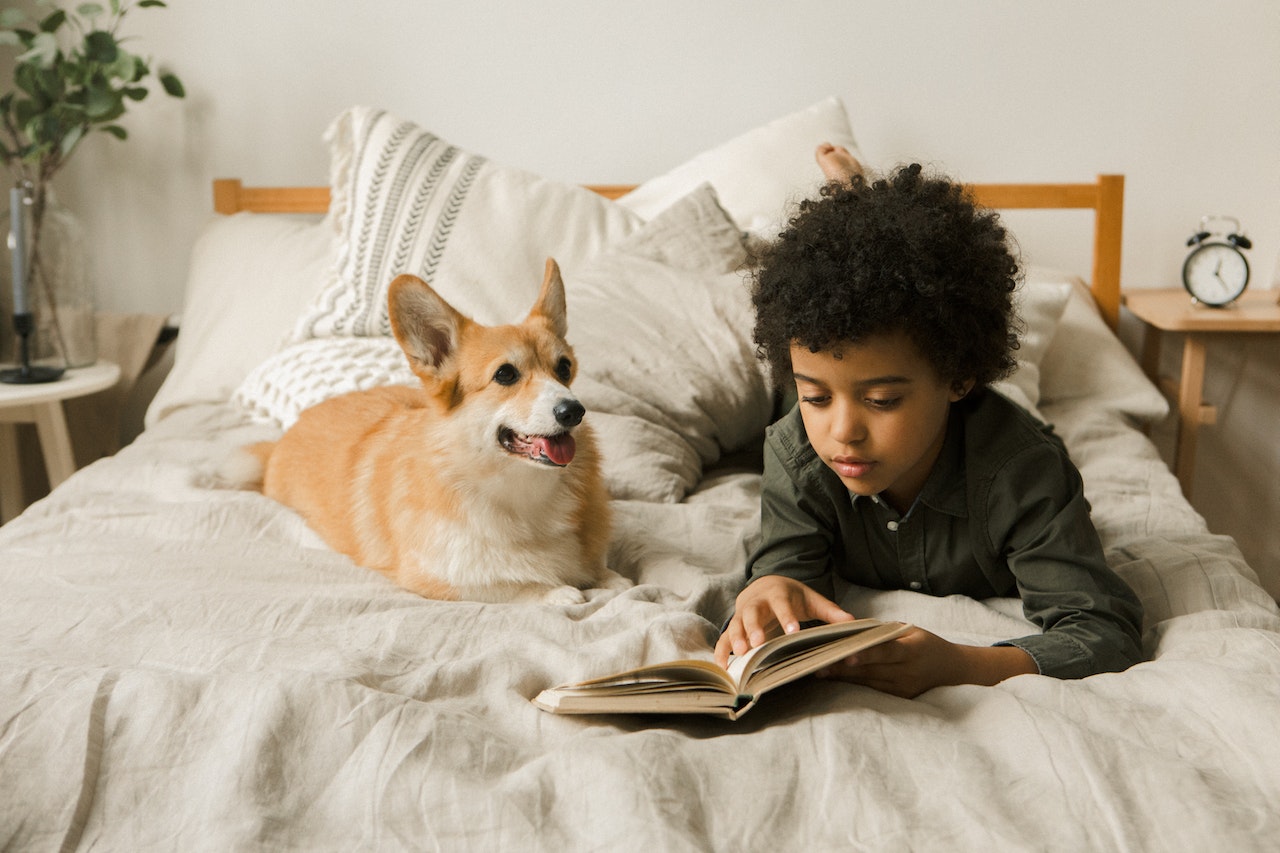 Se forem domesticados de forma correta, os cães podem ser obedientes e trazer segurança para quem tem filho pequeno em casa.