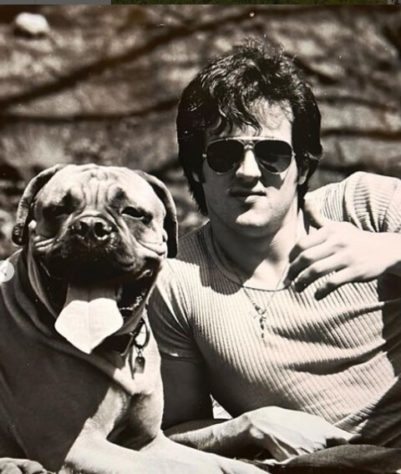 Stallone
