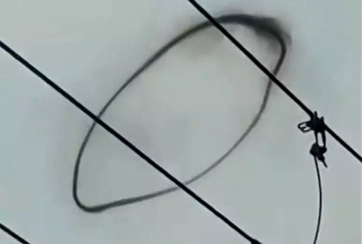Ajarn Jessada , professor do Departamento de Biologia da Universidade Chulalongkorn, em Bangkok, na Tailândia, afirmou na ocasião que o fenômeno ocorreu também em outros países.-Reprodução  de vídeo/Newsflare via Reuters
