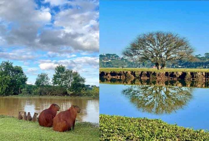 Curitiba é eleita a cidade mais inteligente do mundo