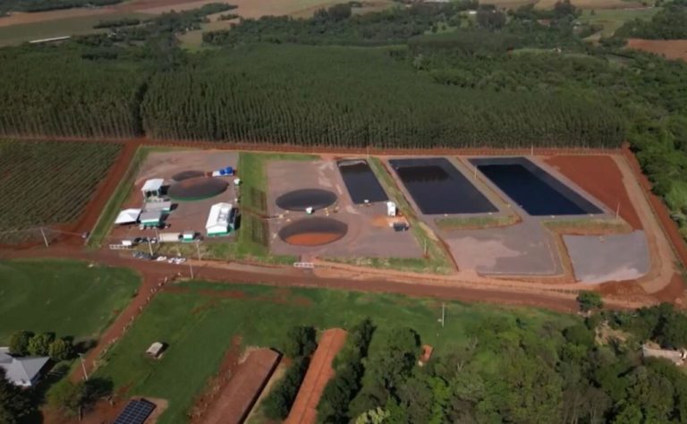Cidade do Paraná faz estrume de porco virar energia elétrica