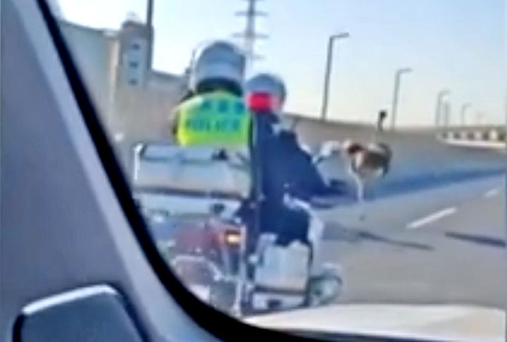 'Ele estava correndo no meio da estrada elevada, entrando e saindo. Quando mudou de faixa no meio, todos nós começamos a abrir caminho e houve um certo engarrafamento', disse.