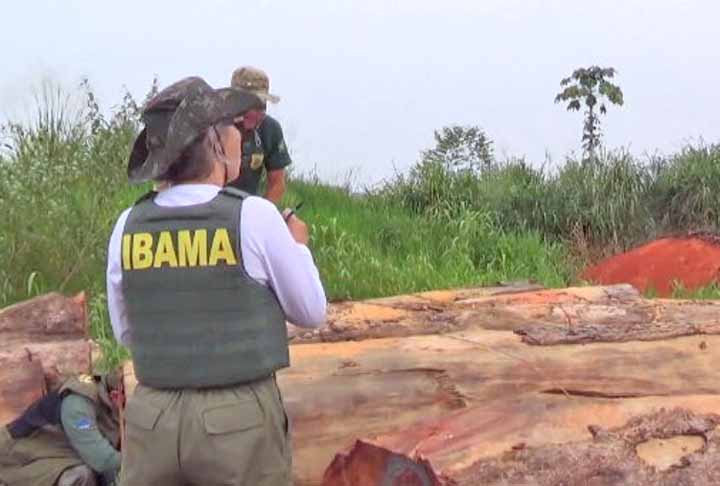 Em operação no Amazonas, Ibama destrói madeireiras clandestinas