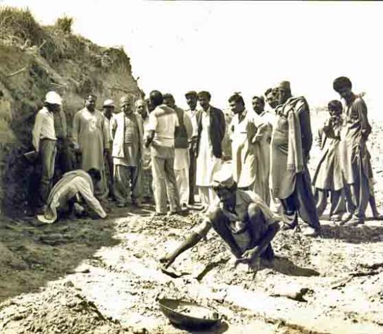 Monte dos Mortos 