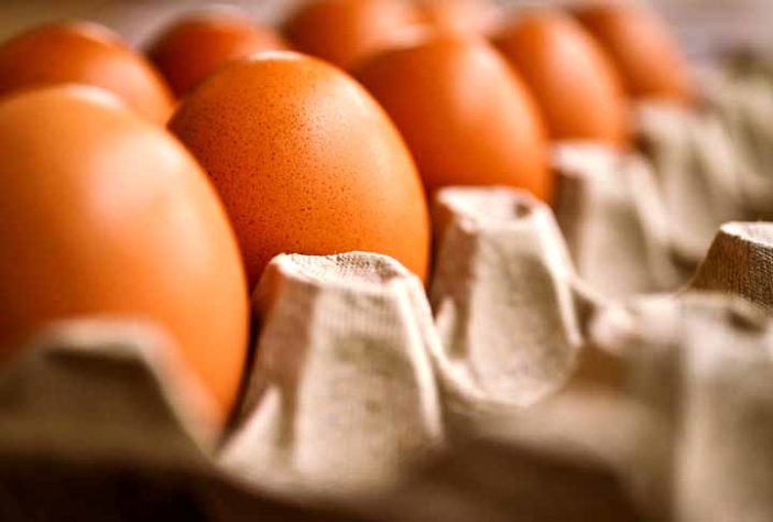 Galinha 'mineira' bota ovo em formato de biscoito de polvilho