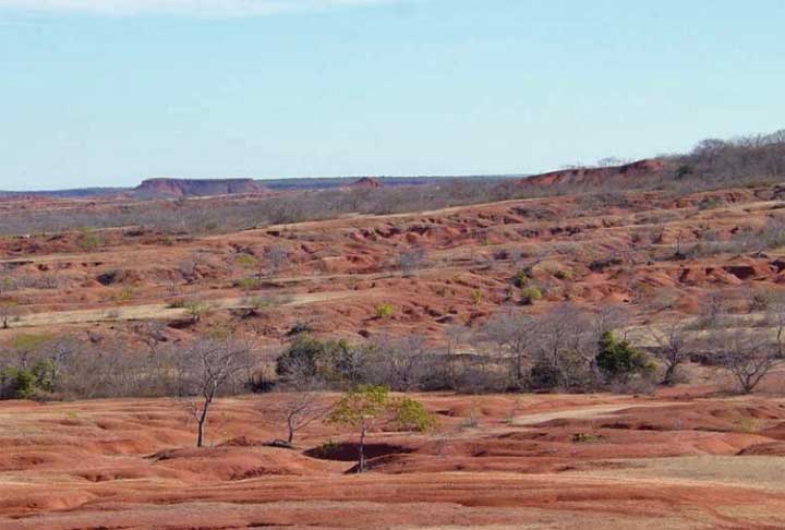 Além da ação do homem, como o crescimento indiscriminado, este processo também tem como "culpados" fatores da natureza como o aquecimento global e a erosão do solo frágil.