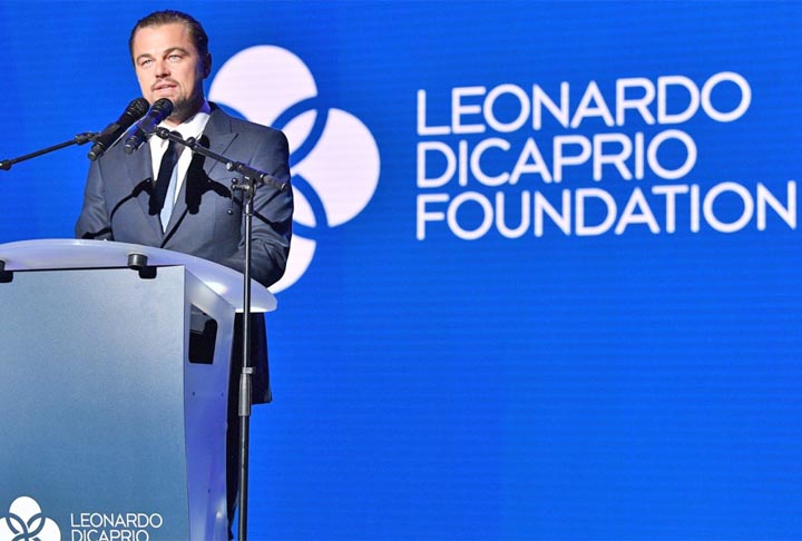 Diante da ameaça, a Re:Wild, entidade de defesa do meio ambiente do ator Leonardo DiCaprio, se juntou com a Colossal Biosciences, empresa que tem especialistas em edição de genes e biologia computacional. Uma das ideias é conseguir a reprodução assistida de vaquitas. 