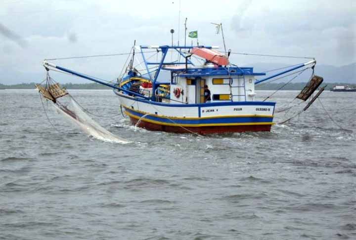 O caso das vaquitas é só mais um que mostra como é vital cuidar da vida nos oceanos e como é essencial a cooperação entre países para evitar que espécies ameaçadas desapareçam. 