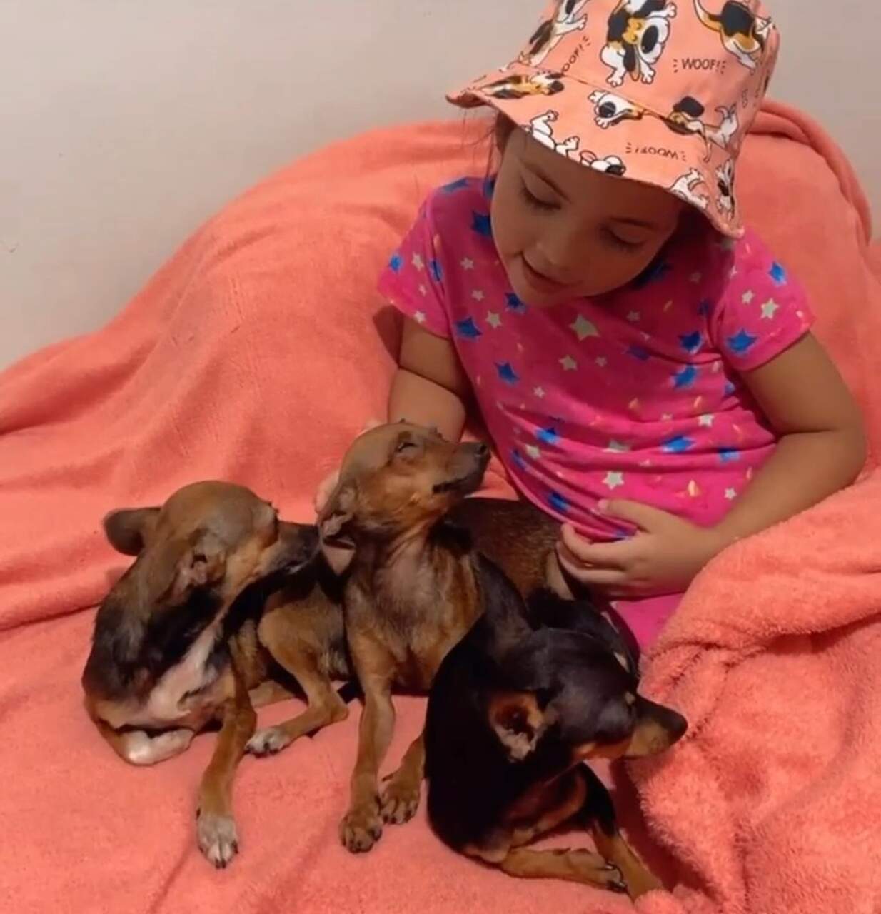 As músicas prediletas de Helena Sophia são: 'borboletinha tá na cozinha', 'fui morar numa casinha' e 'a barata diz que tem'.