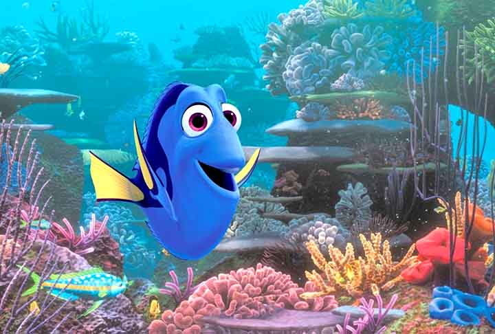 Inspirada na espécie Paracanthurus hepatus, também conhecida como peixe cirurgião-azul, peixe cirurgião-paleta ou peixe-cirurgião-hipopótamo, esses peixes habitam recifes em toda a região tropical do Indo-Pacífico e são facilmente reconhecíveis graças aos seus corpos de um azul vibrante, marcas pretas marcantes e caudas de um amarelo brilhante.
