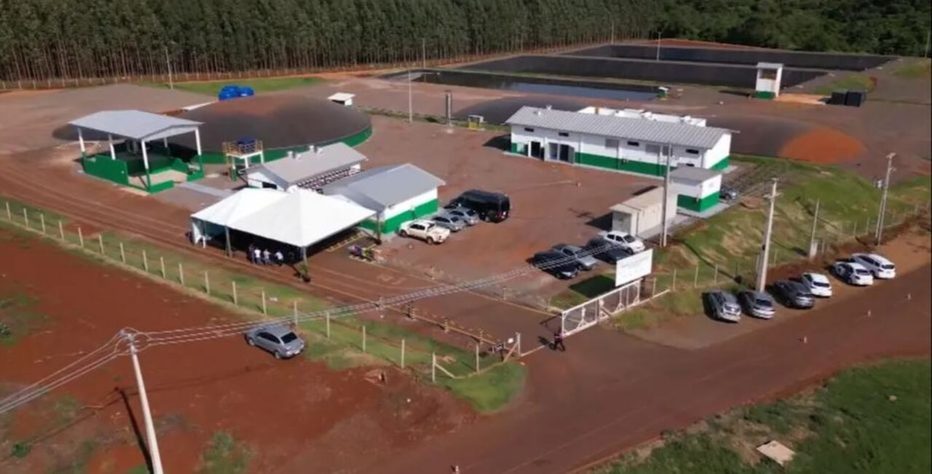 Cidade do Paraná faz estrume de porco virar energia elétrica
