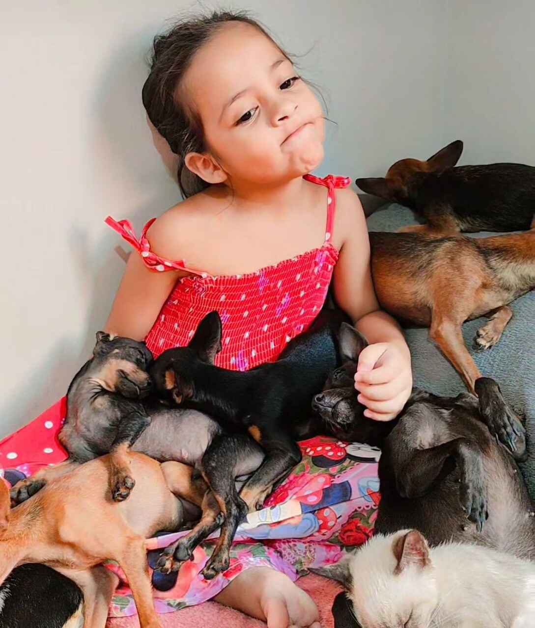 Na ocasião, Helena Sophia tinha oito pinschers. A cadela mais velha, Lola, tinha cinco anos; Scooby, o mais novo e preferido da criança, tinha seis meses.