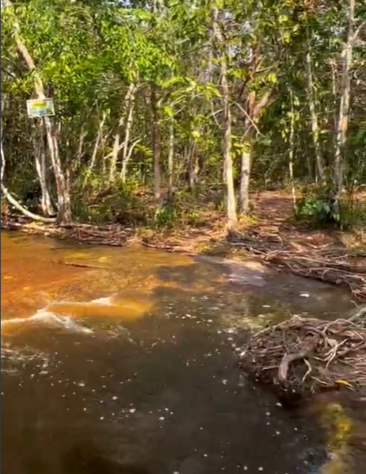Buracos misteriosos na Amazônia 