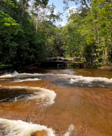 Buracos misteriosos na Amazônia 