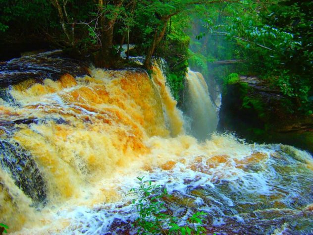 Buracos misteriosos na Amazônia 