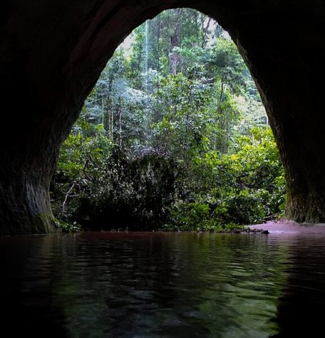 Buracos misteriosos na Amazônia 