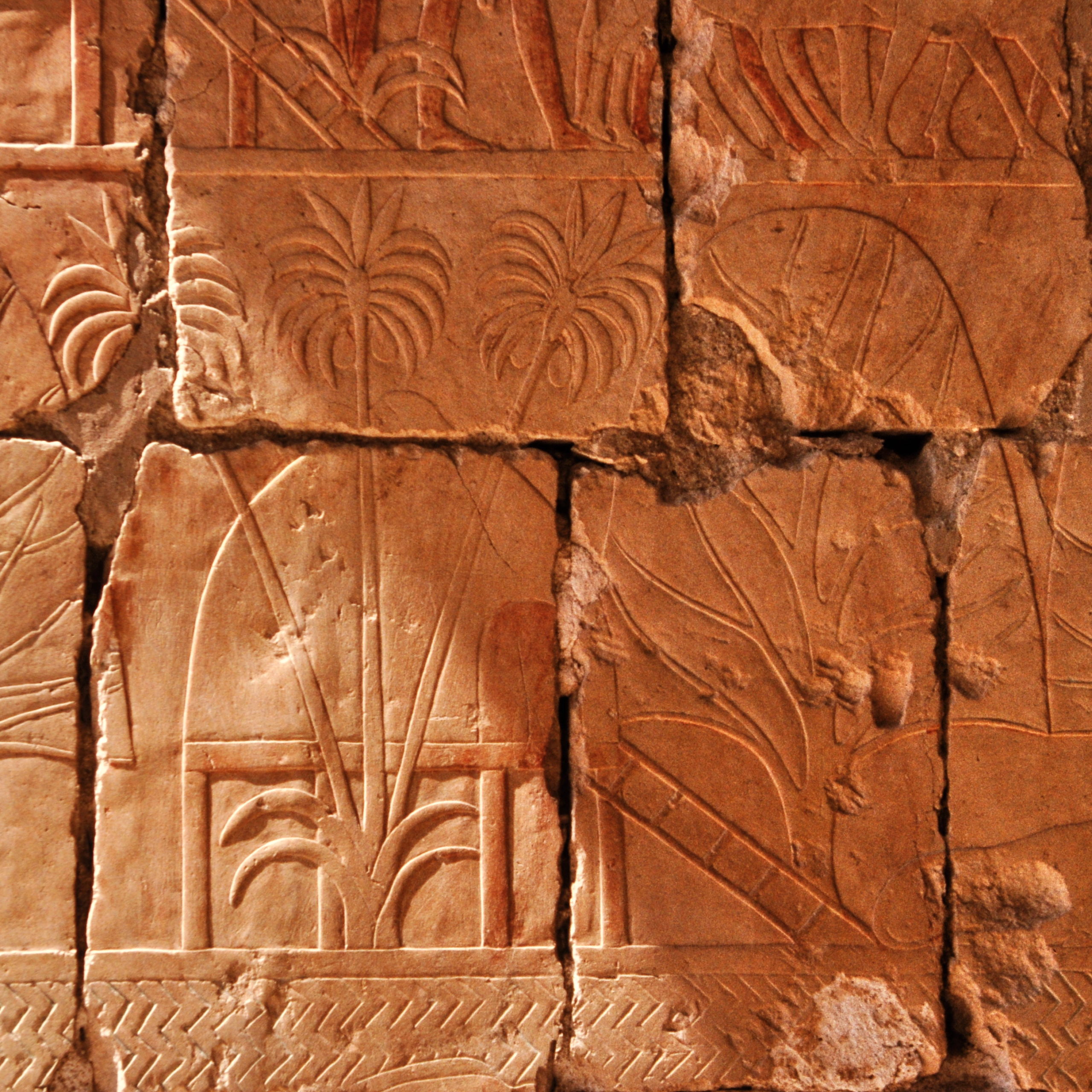 O Reino de Punte foi importante parceiro comercial dos egípcios por pelo menos mil anos, sendo fonte de bens de luxo, incluindo incenso, ouro, peles de leopardo e babuínos vivos.